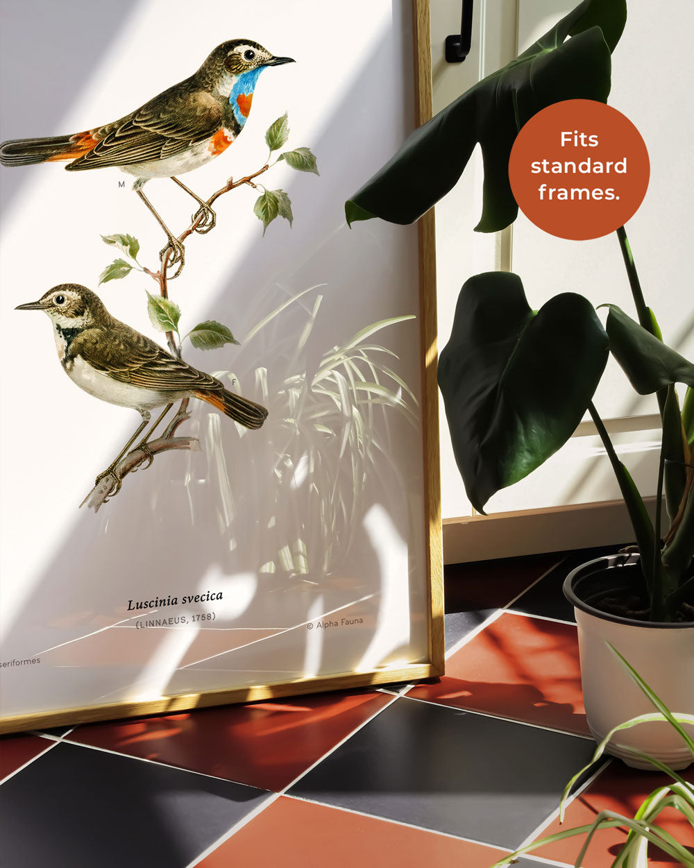 Bluethroat Art Print