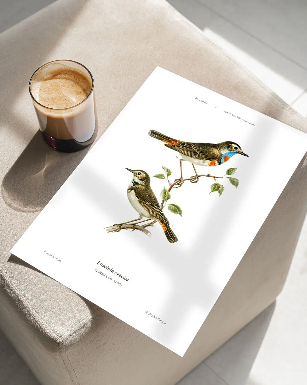 Bluethroat Art Print