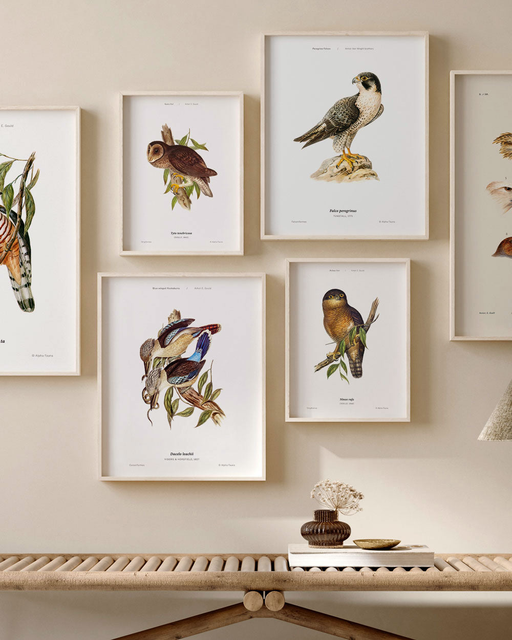Blue-Winged Kookaburra Art Print
