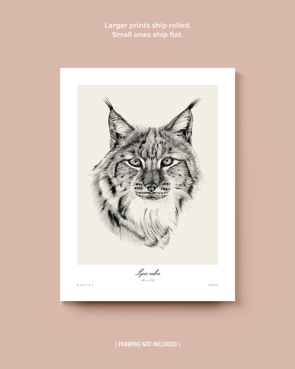 Wolf & Bobcat Set