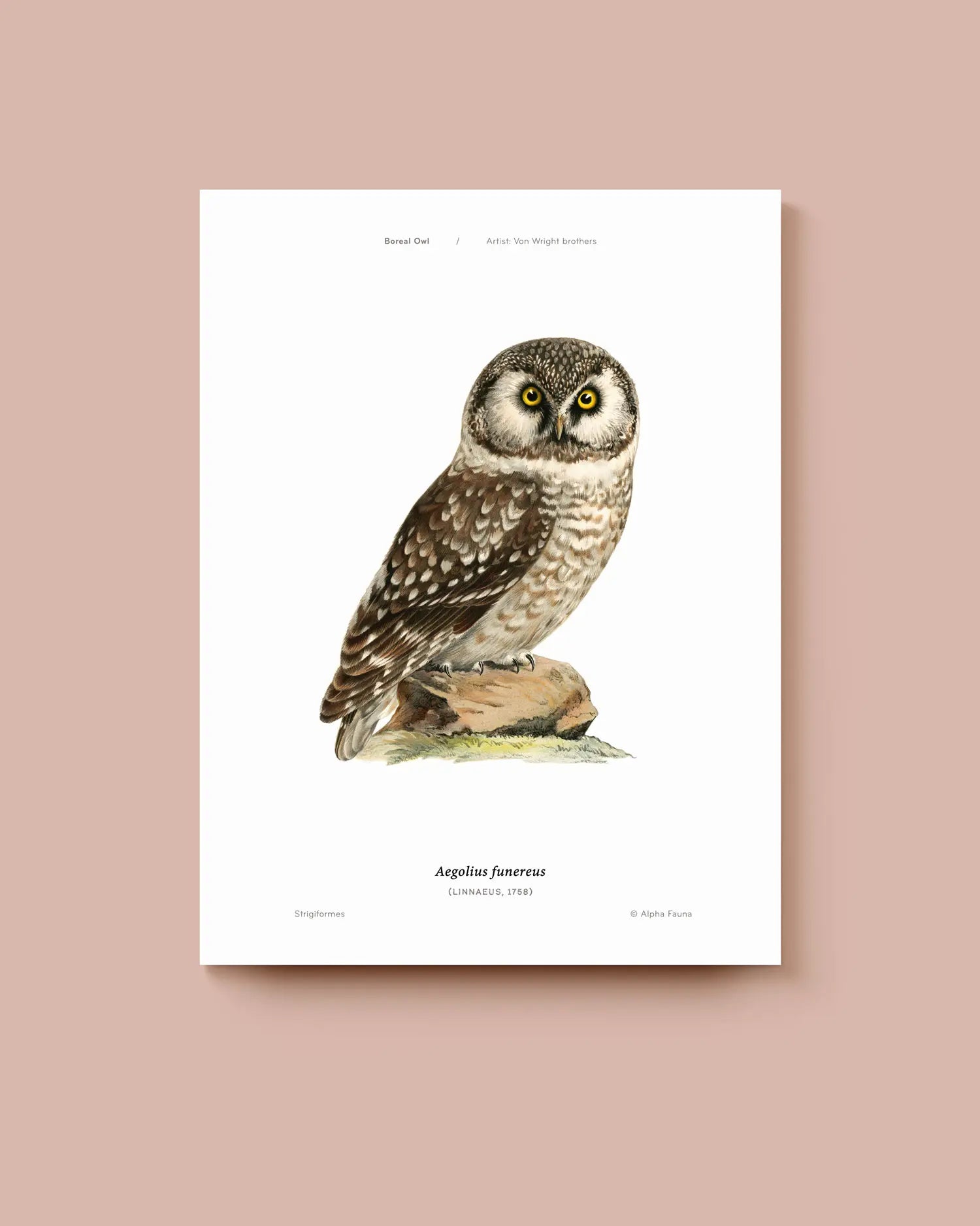 Poster of an owl on a beige background * Unframed print