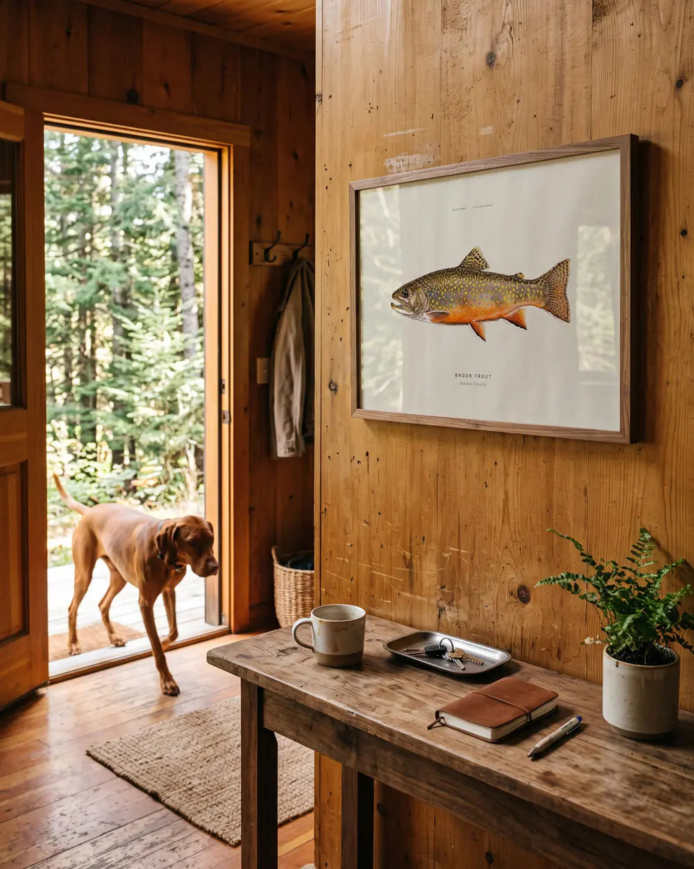 Brook Trout Art Print