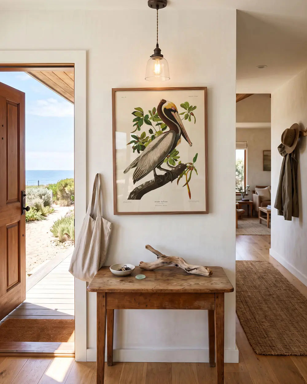 Brown Pelican Art Print