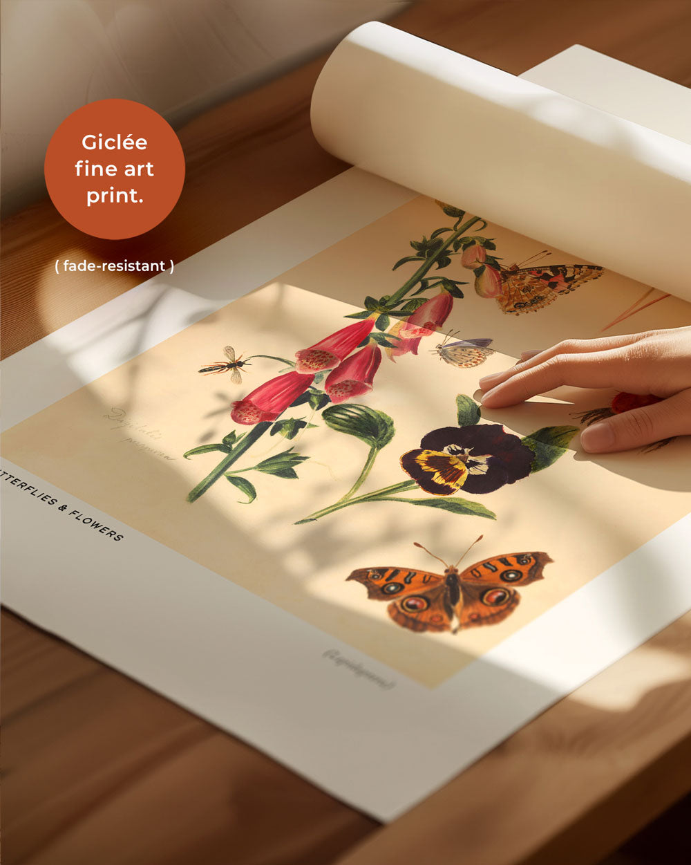 Butterflies And Flowers Art Print