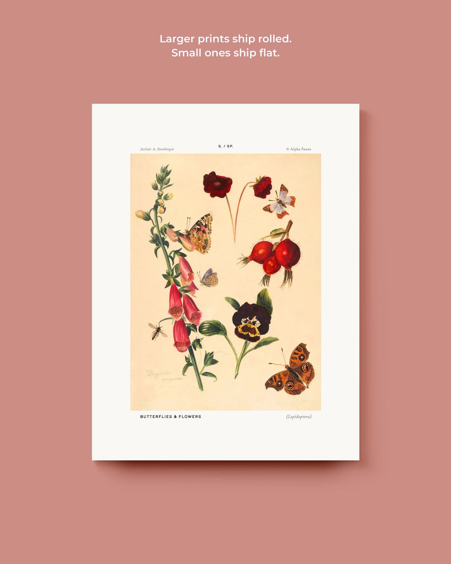 Butterflies And Flowers Art Print
