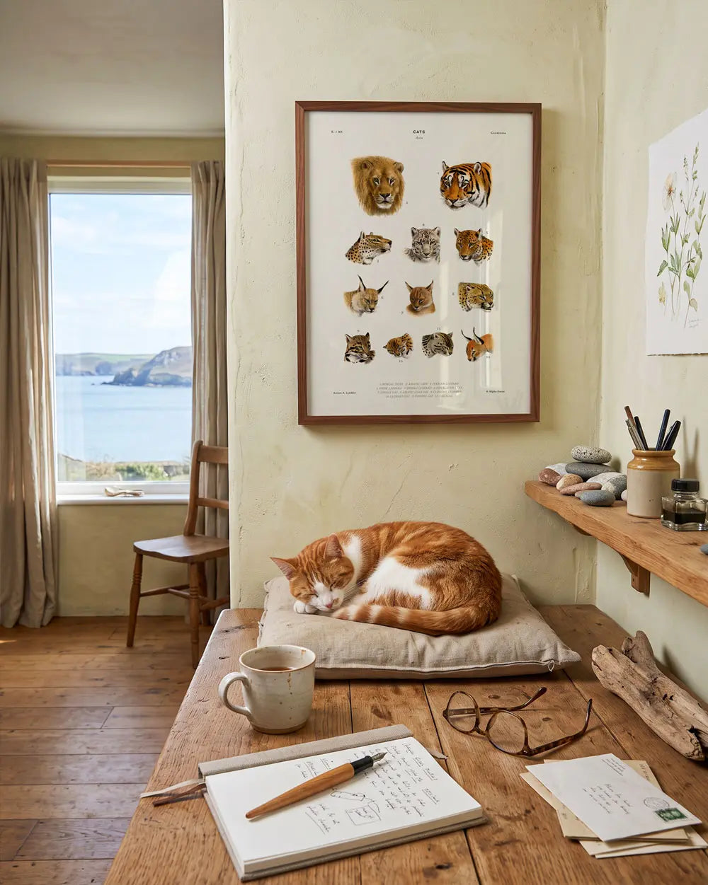 Wild Cats of Asia Art Print