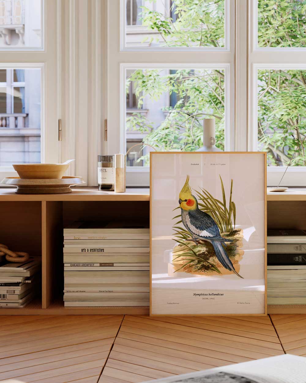 Cockatiel Art Print