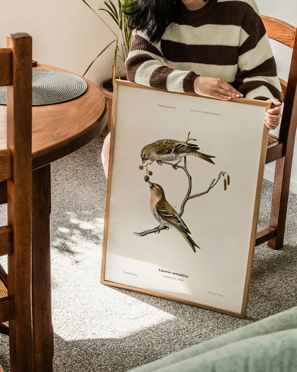 Common Linnet Art Print
