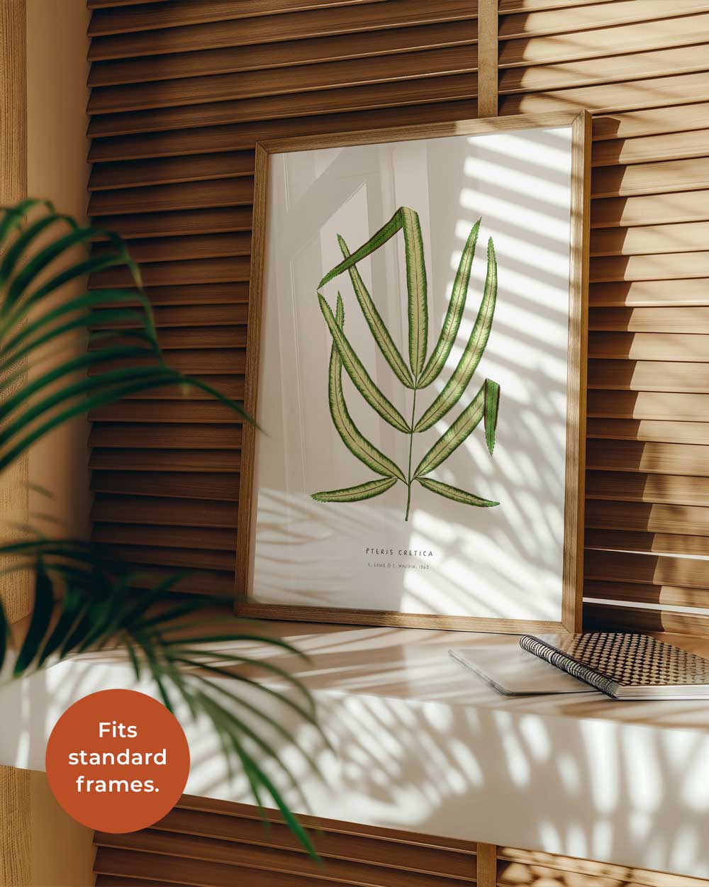 Cretan Brake Fern Art Print