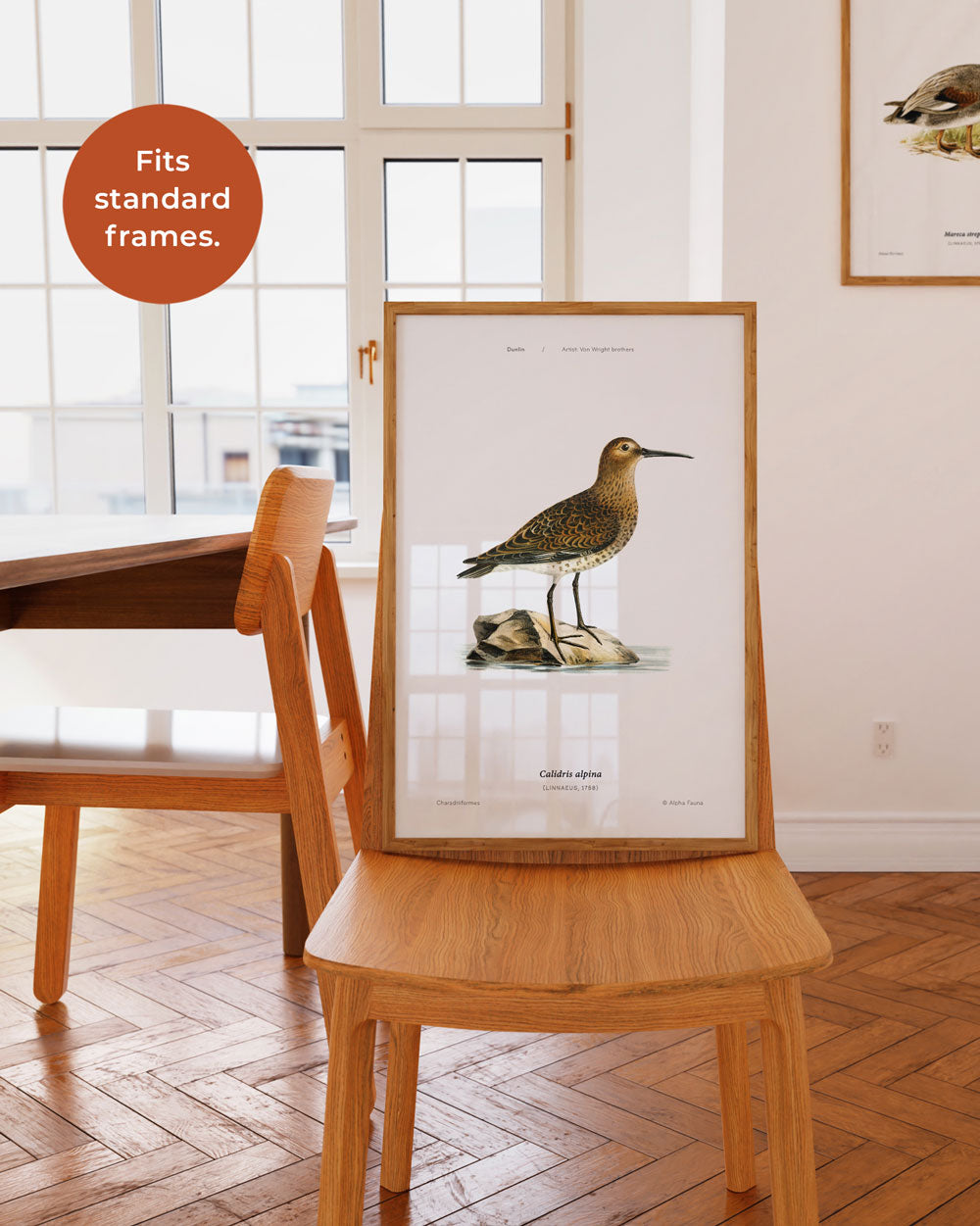 Dunlin Art Print