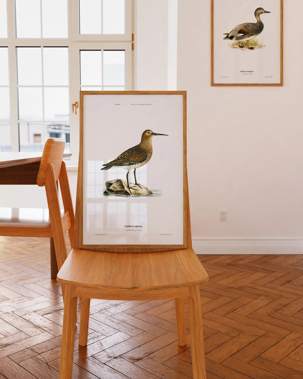Dunlin Art Print