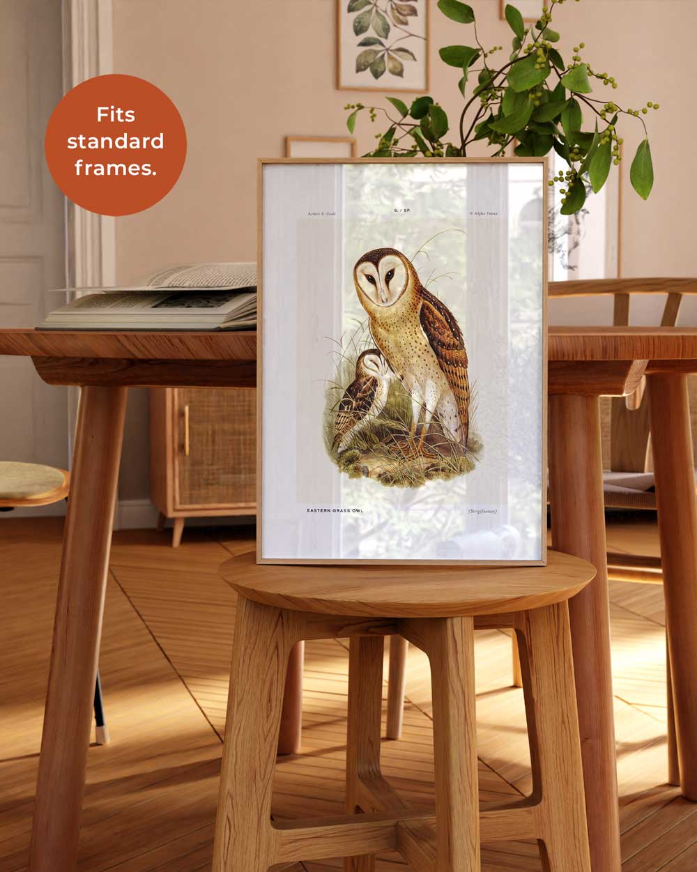 Eastern Grass Owl Art Print