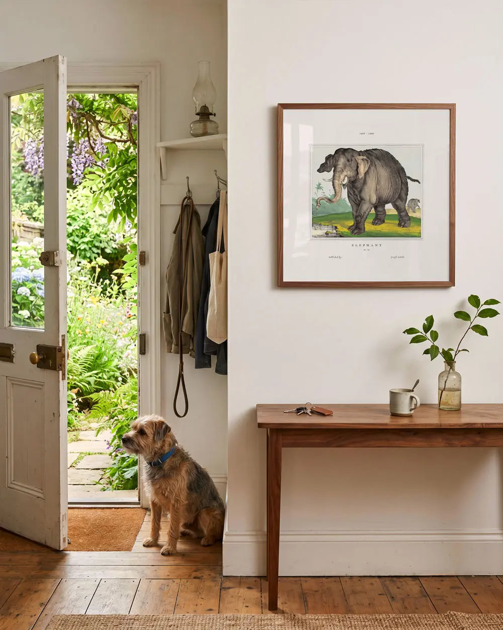Asian Elephant Art Print