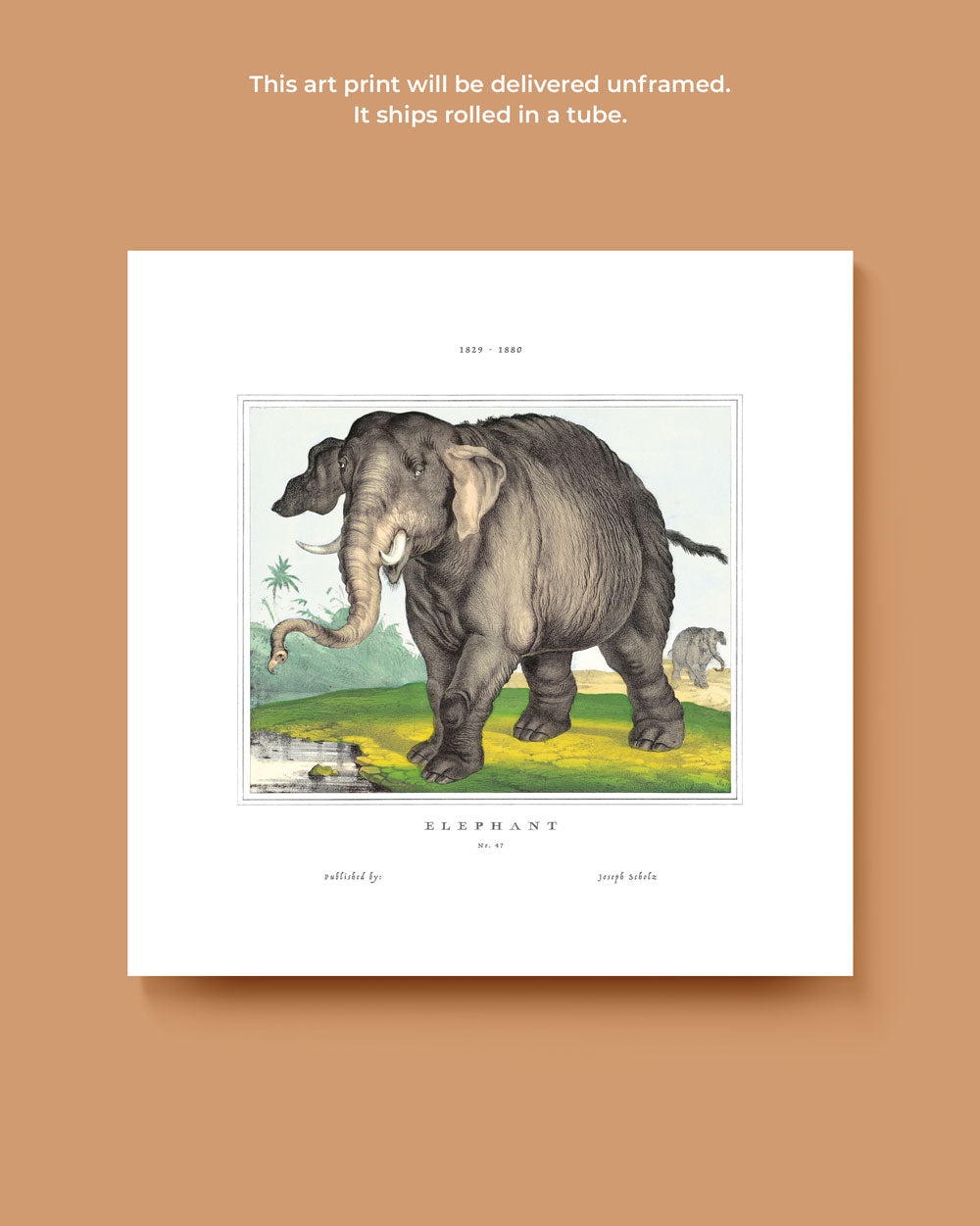 Elephant Art Print