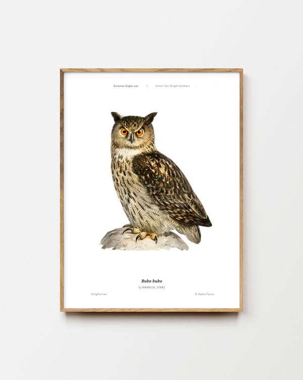 Eurasian Eagle-Owl Art Print