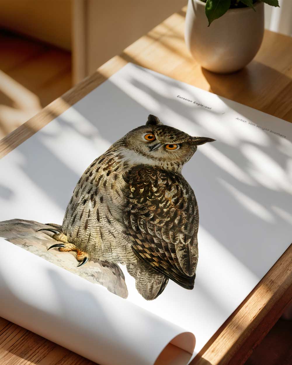 Eurasian Eagle-Owl Art Print