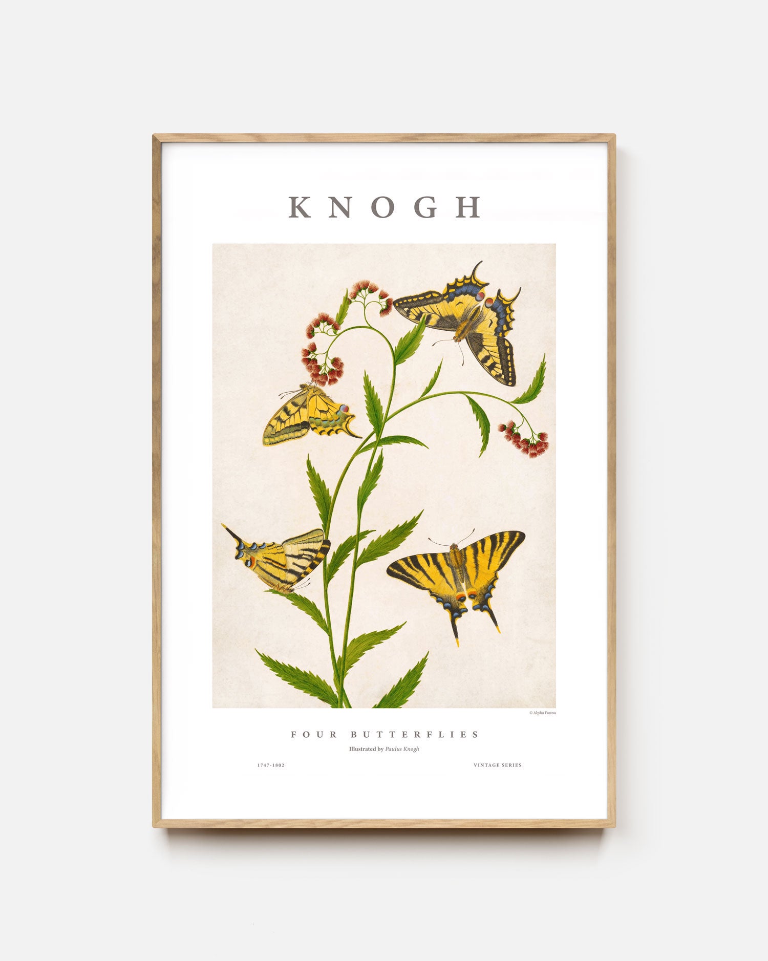 Four Butterflies Art Print