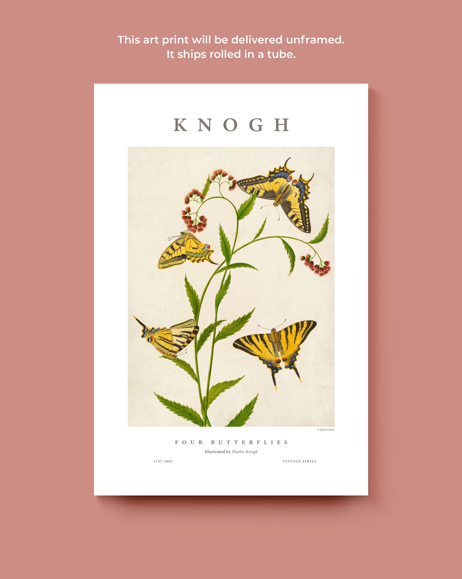 Four Butterflies Art Print