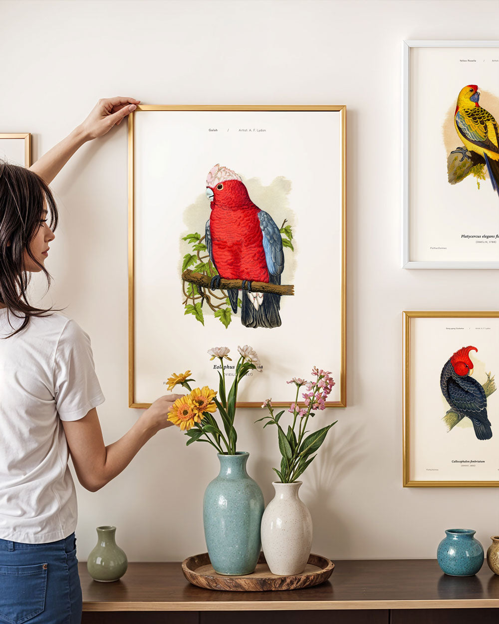 Galah Art Print