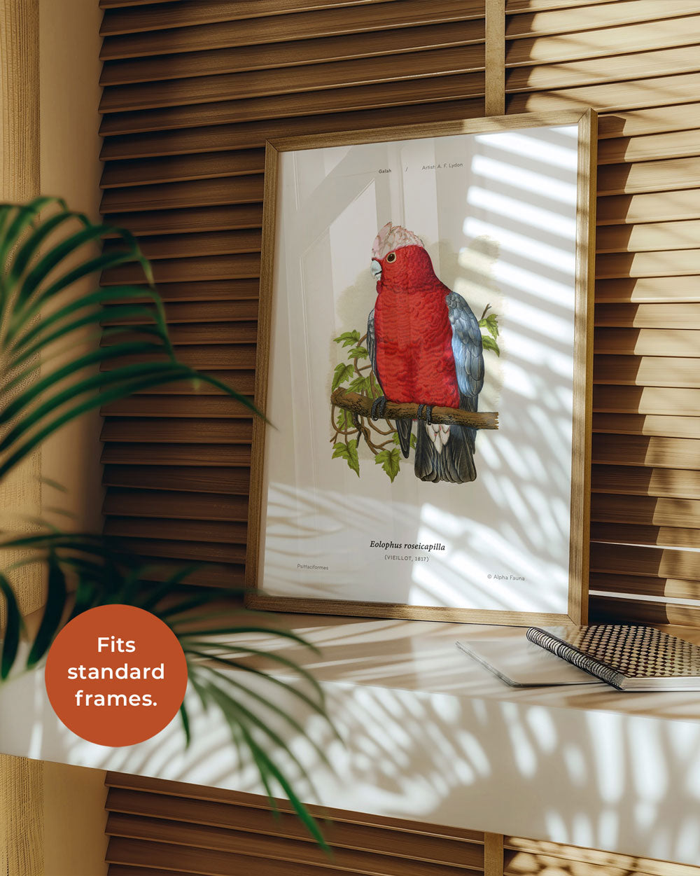Galah Art Print