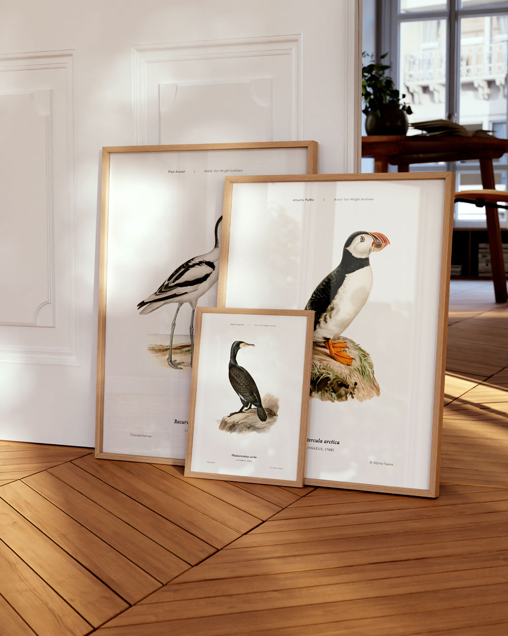 Great Cormorant Art Print