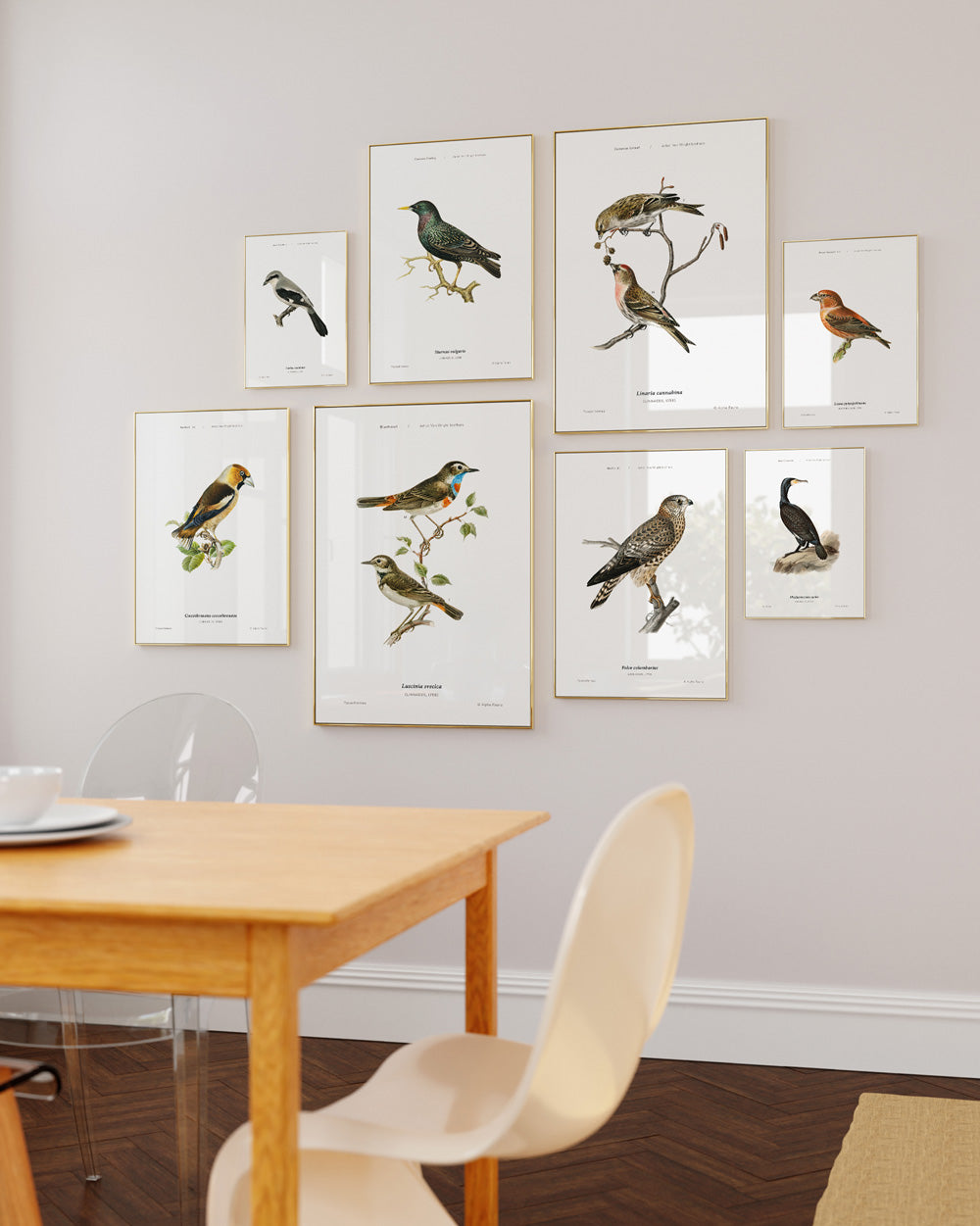 Great Gray Shrike Art Print