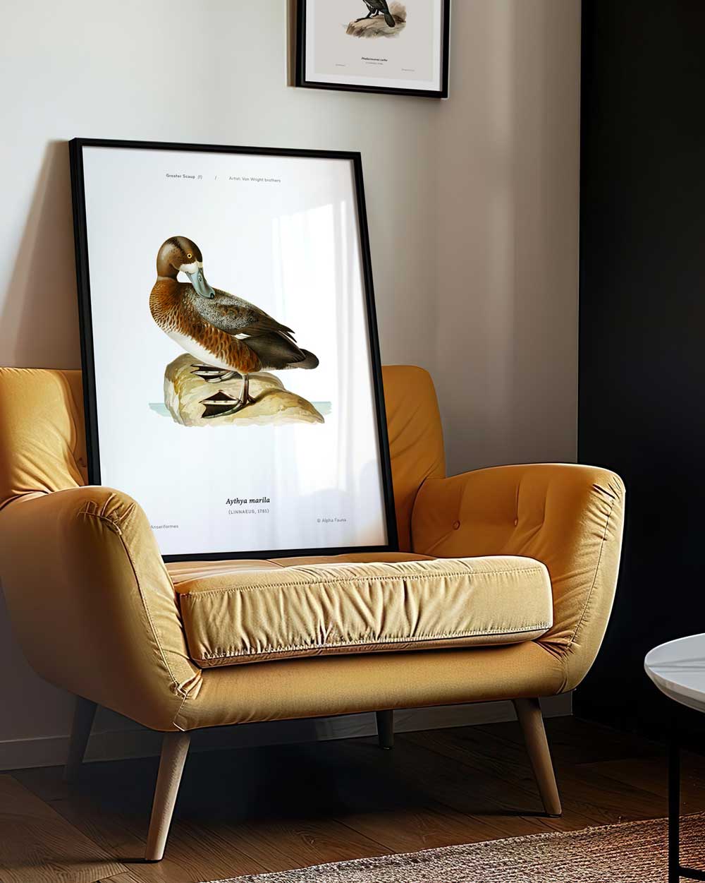 Greater Scaup Art Print