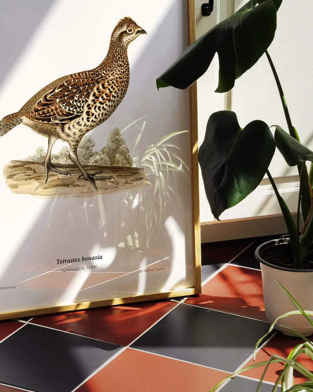 Hazel Grouse Art Print