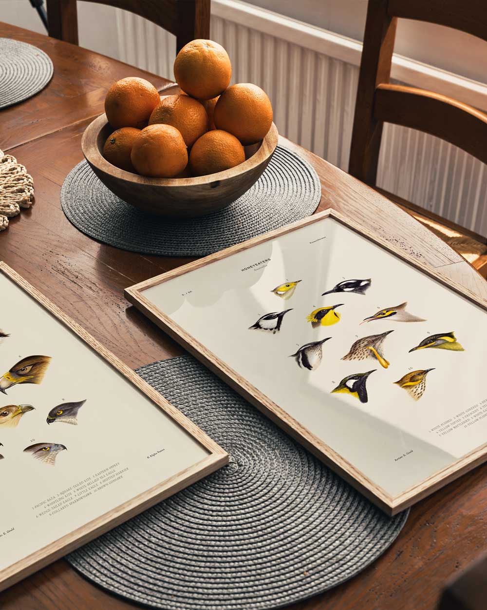 Honeyeaters Of Australia Art Print