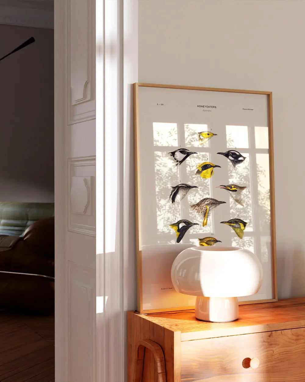 Honeyeaters of Australia Art Print