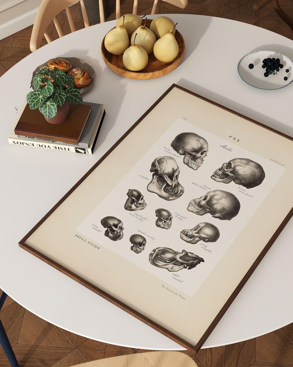 Skull Study #03 Art Print