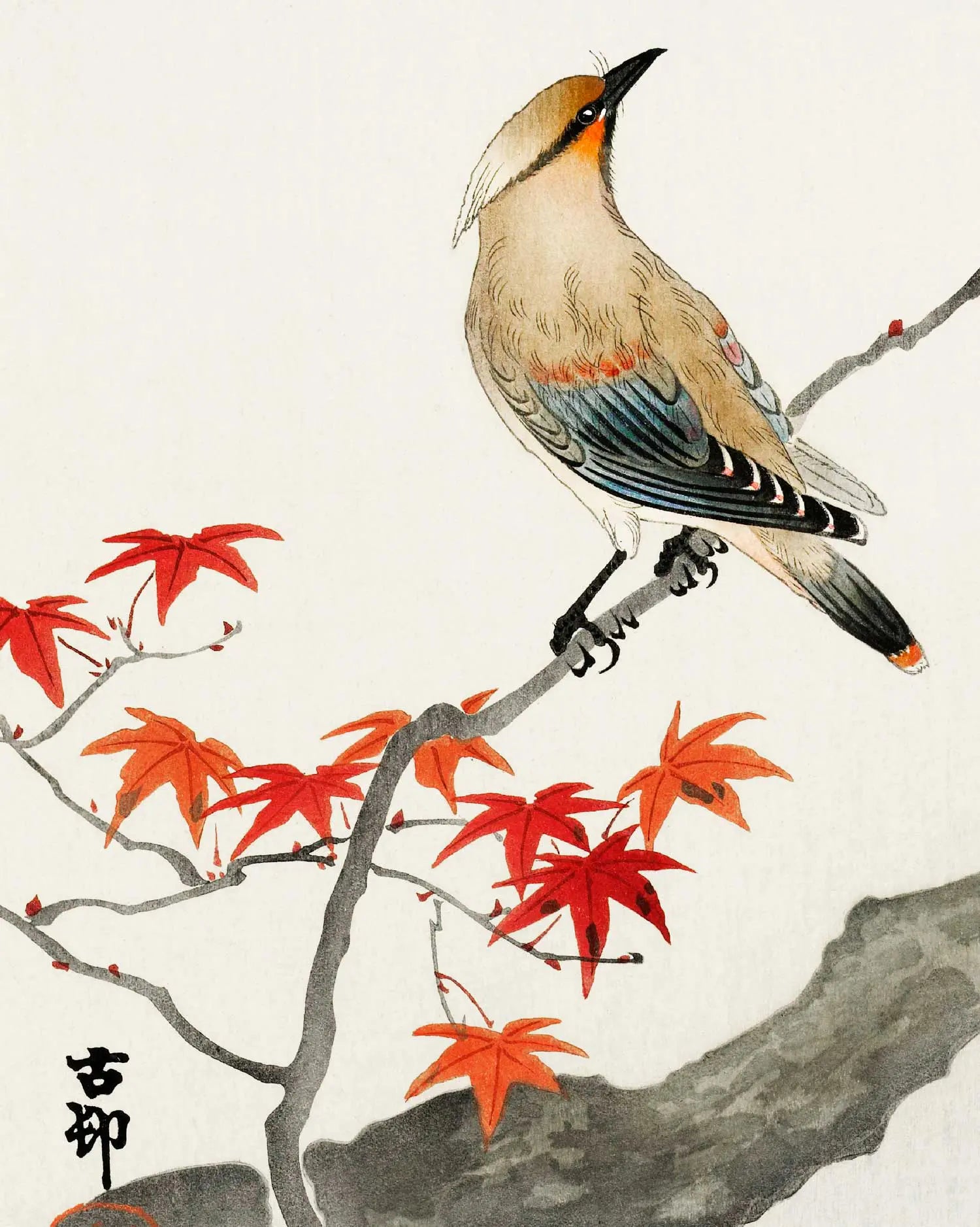 Bird perched on a branch with red leaves and a cream background.