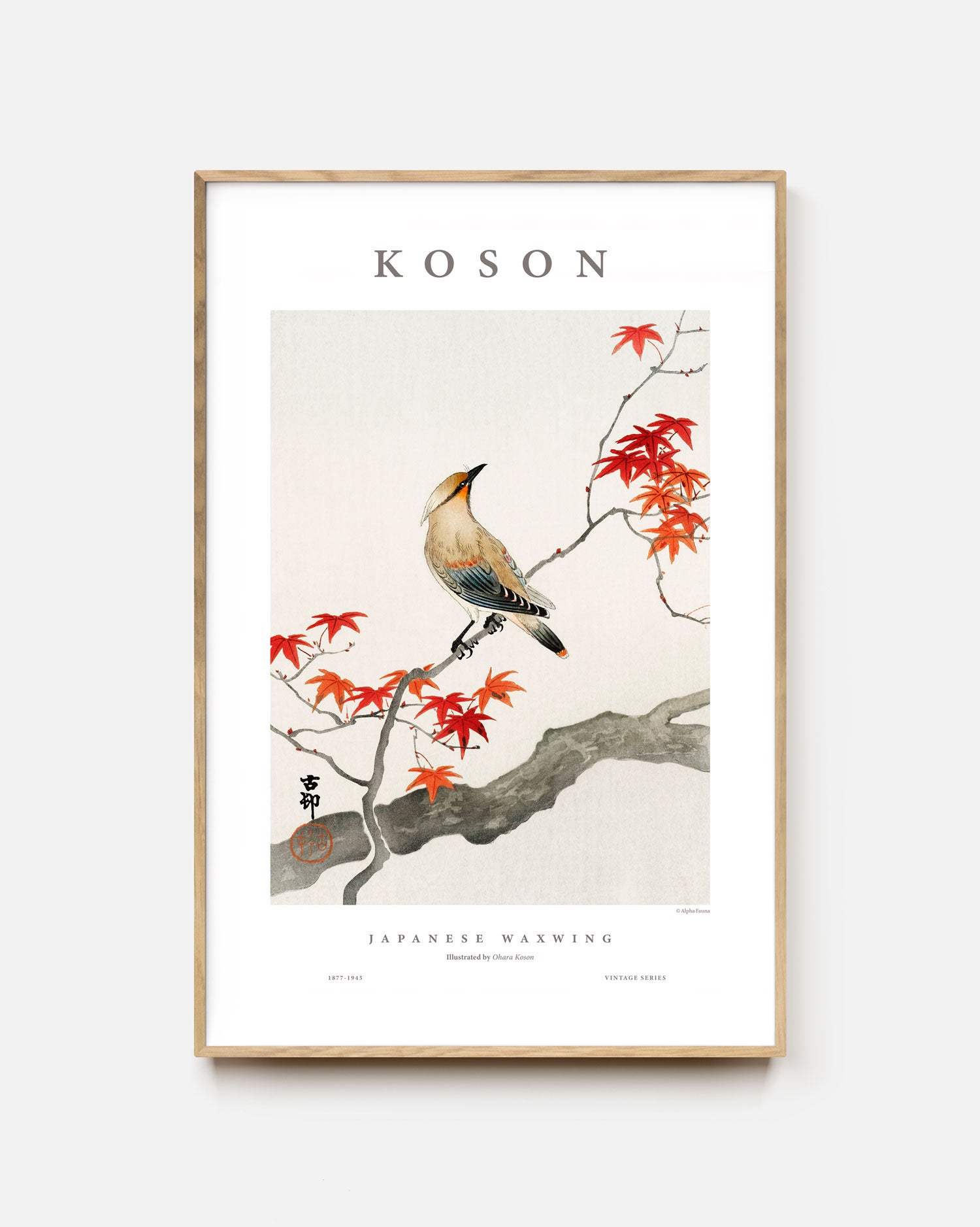 Japanese Waxwing Art Print