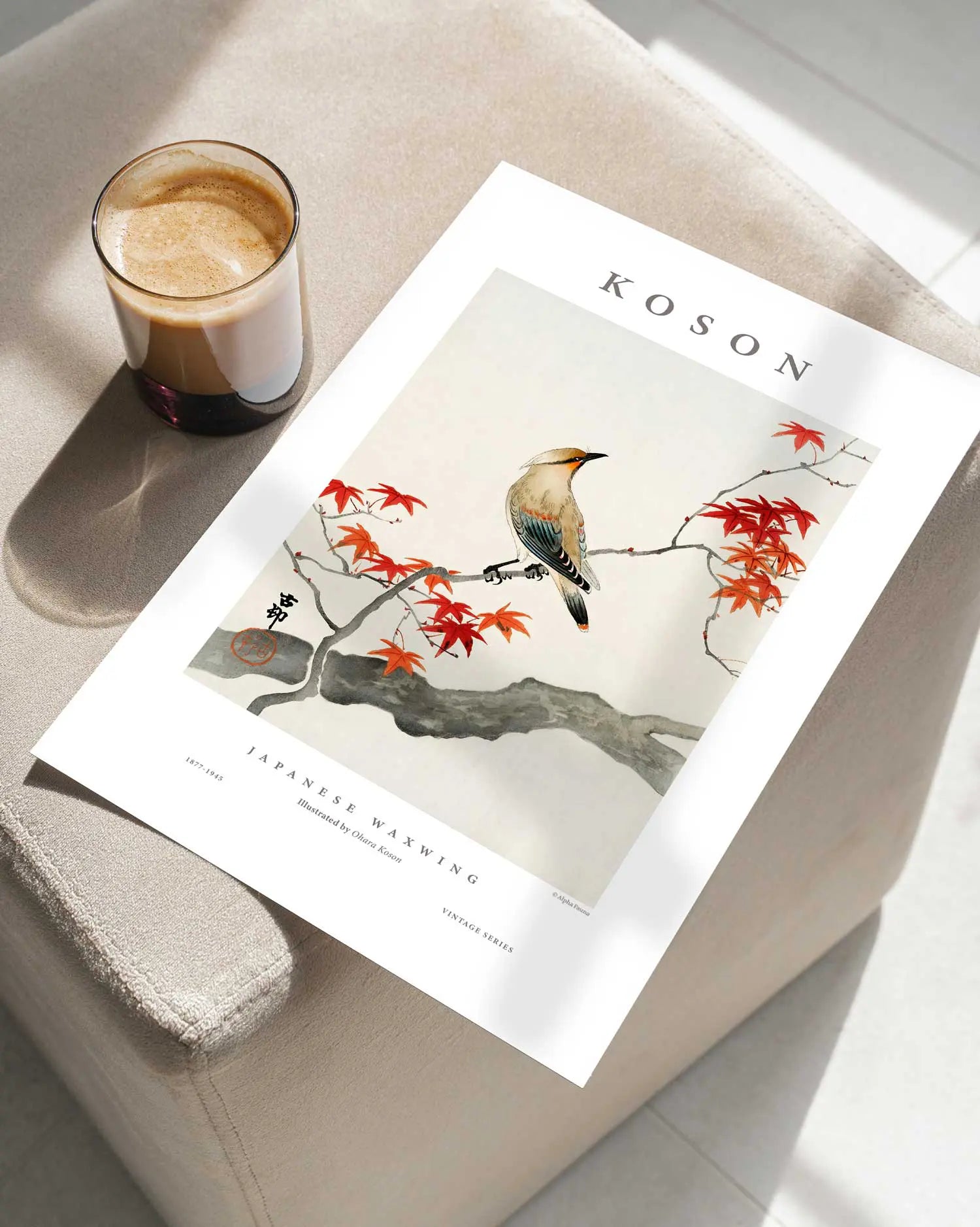 Japanese Waxwing Art Print