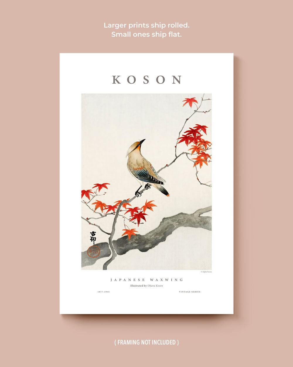 Koson's Japanese Birds Set