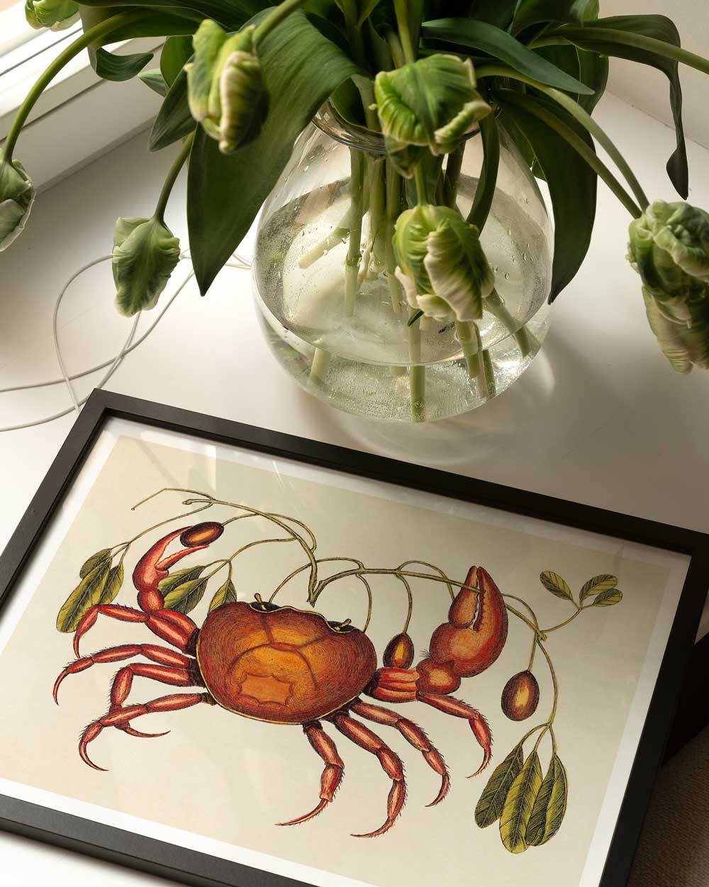 The Land Crab Art Print