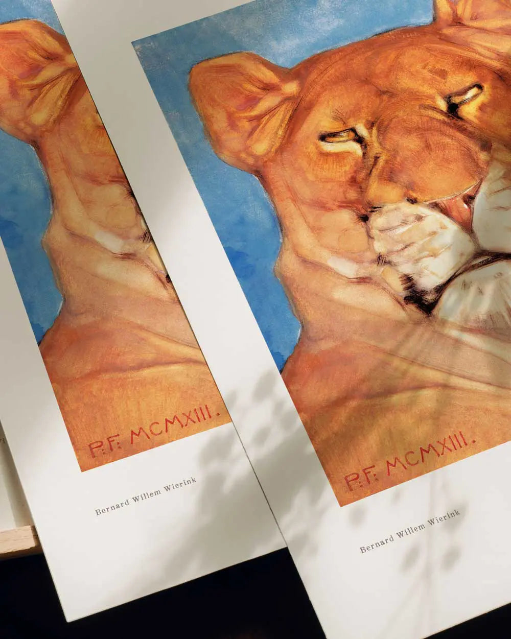 Lioness Art Print