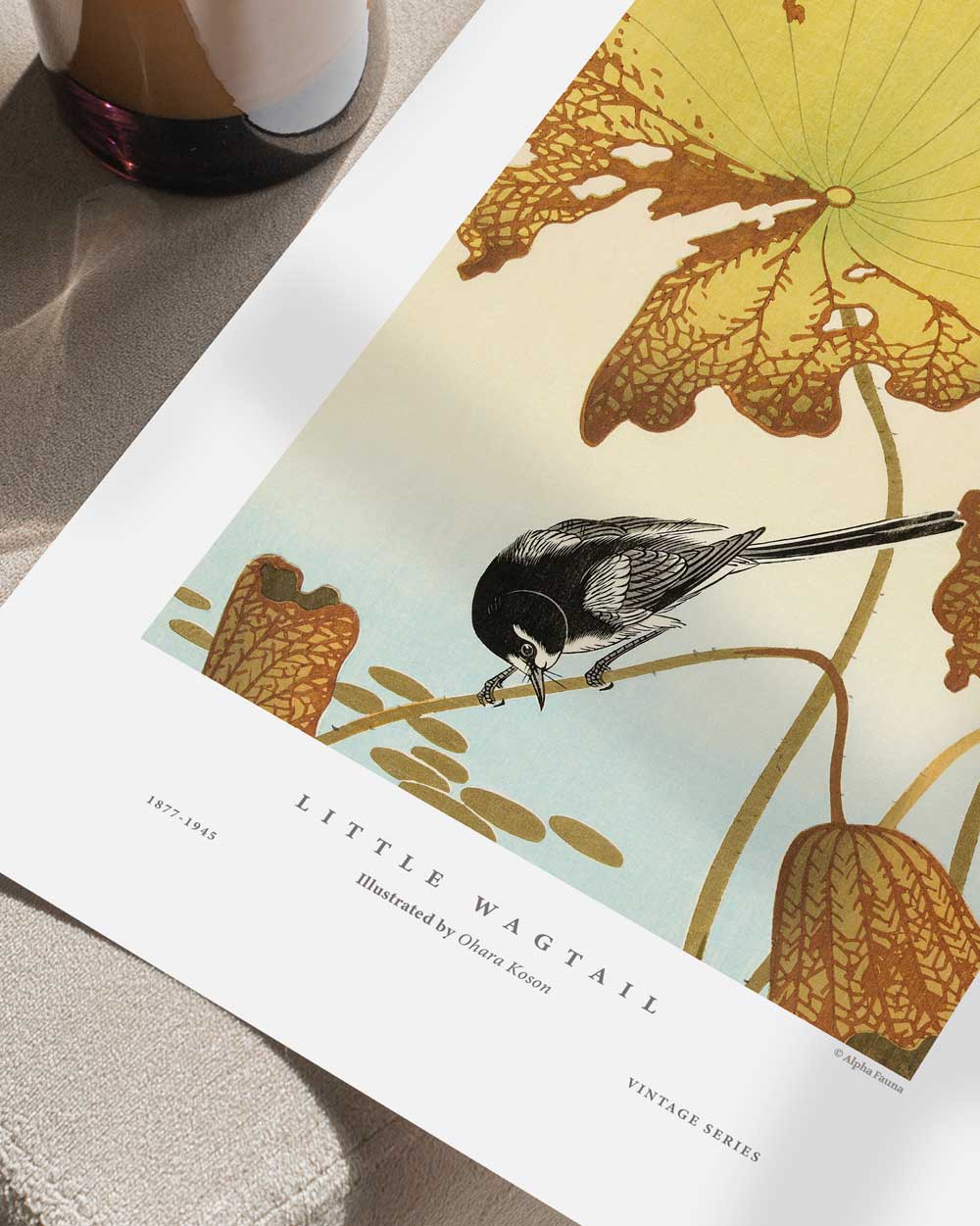 Little Wagtail Art Print