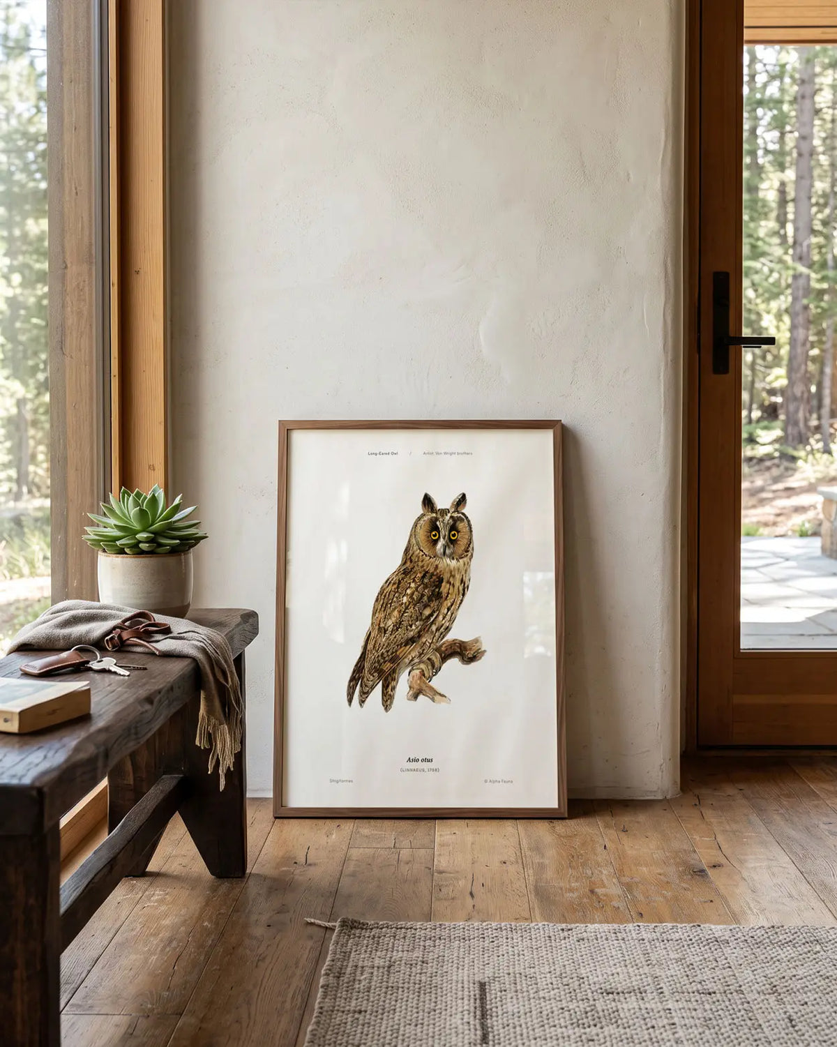 Long-Eared Owl Art Print