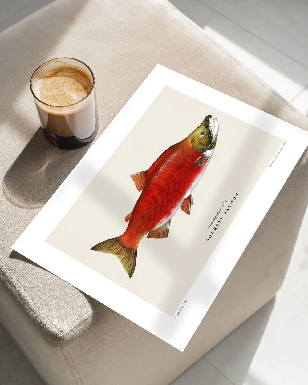 Sockeye Salmon Art Print