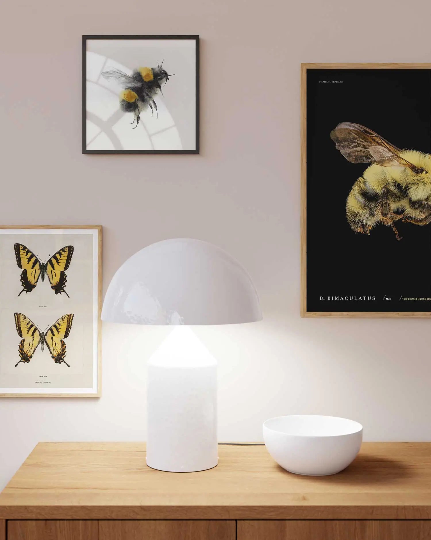 White table lamp on a wooden surface with framed artwork of insects on the wall.