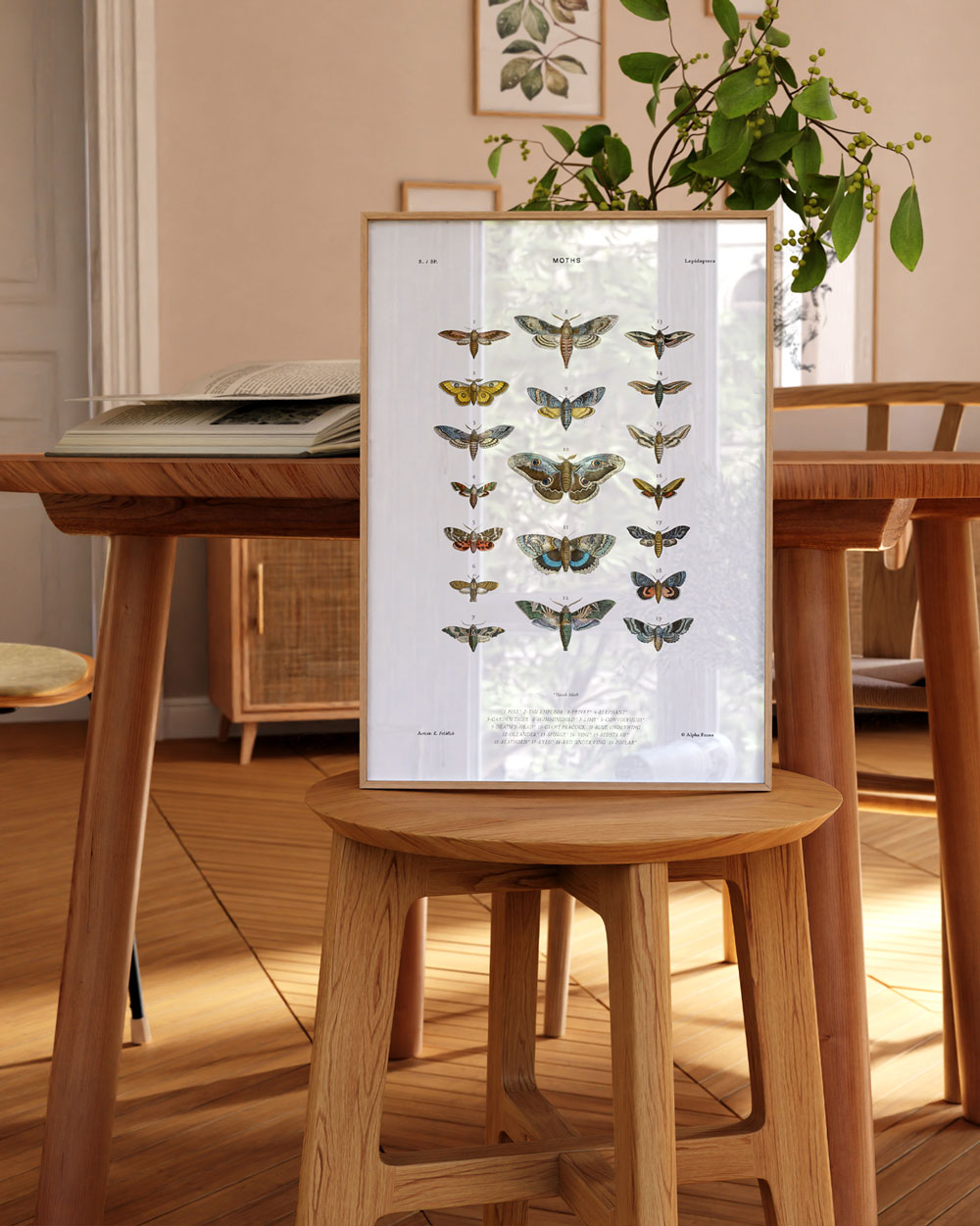 Moths Art Print