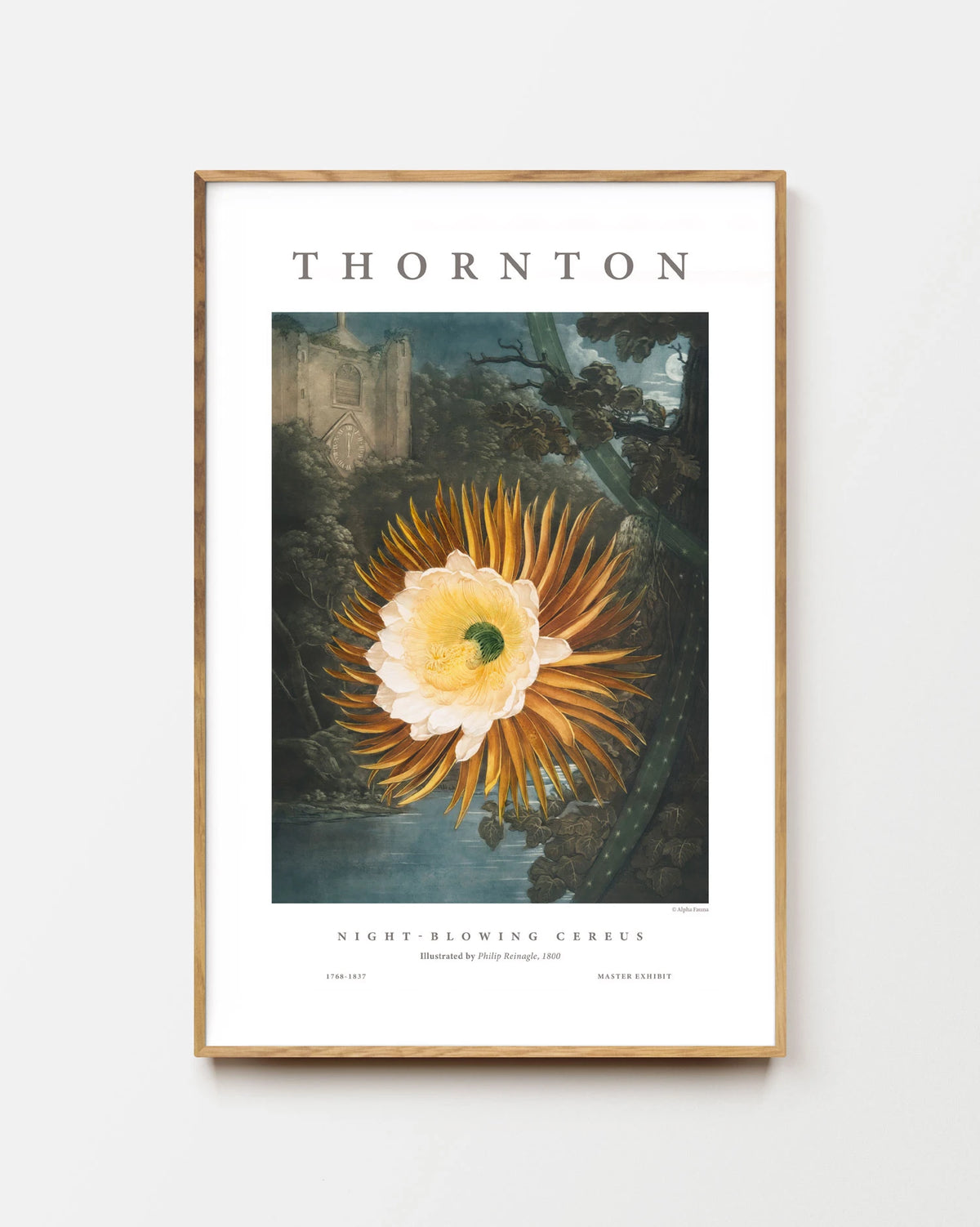 Night-Blowing Cereus – Master Exhibit Edition