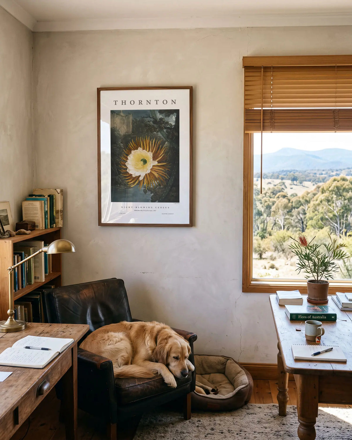 Night-Blowing Cereus – Master Exhibit Edition