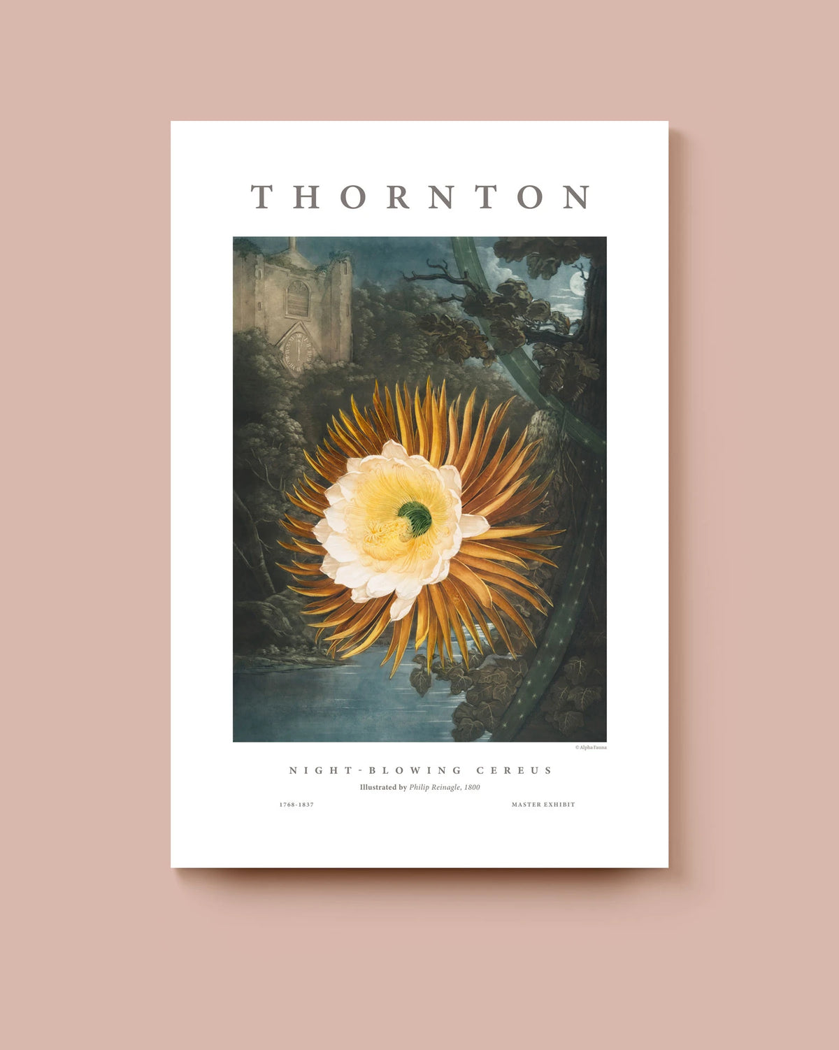 Night-Blowing Cereus – Master Exhibit Edition