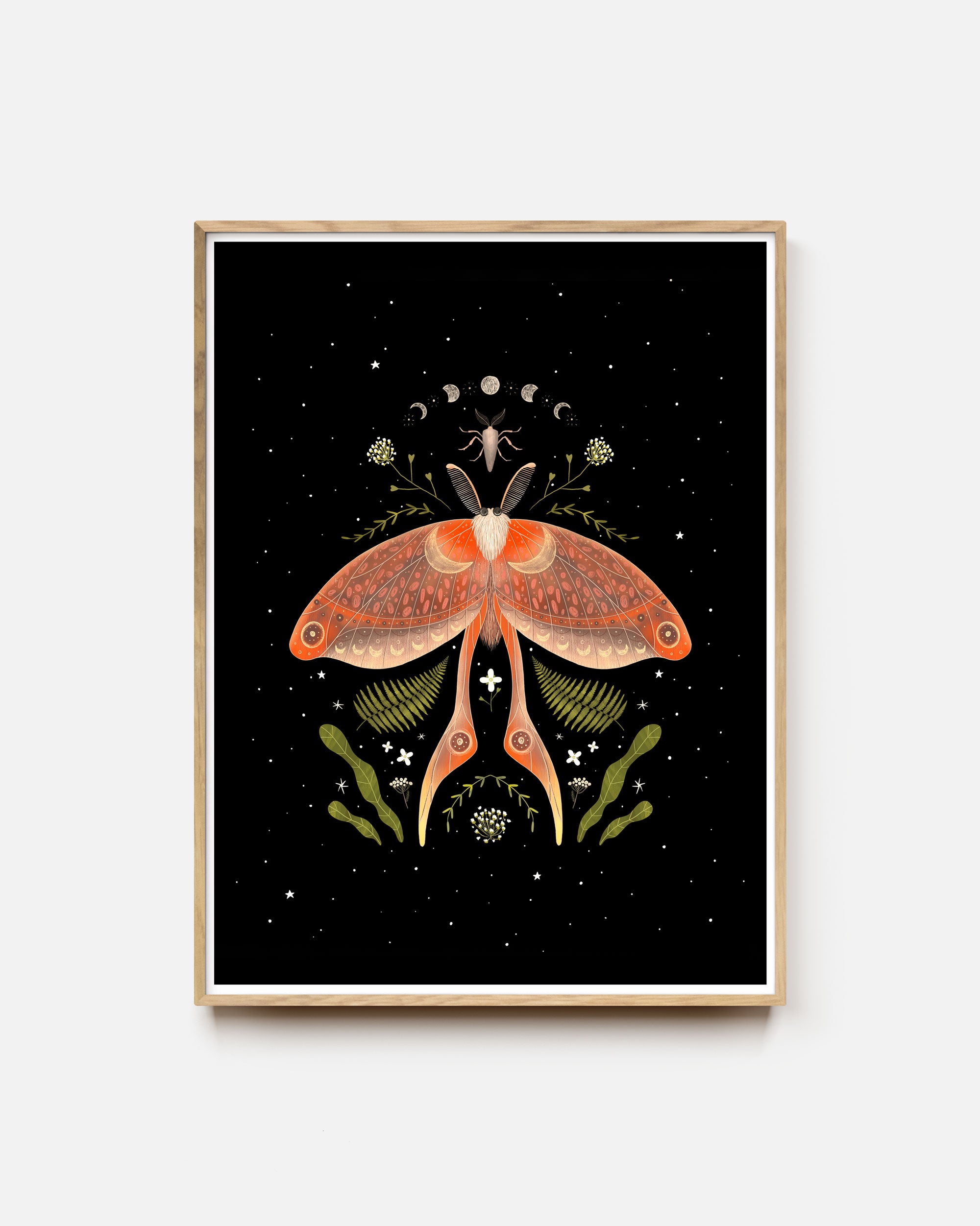 Nocturnal Moth Art Print