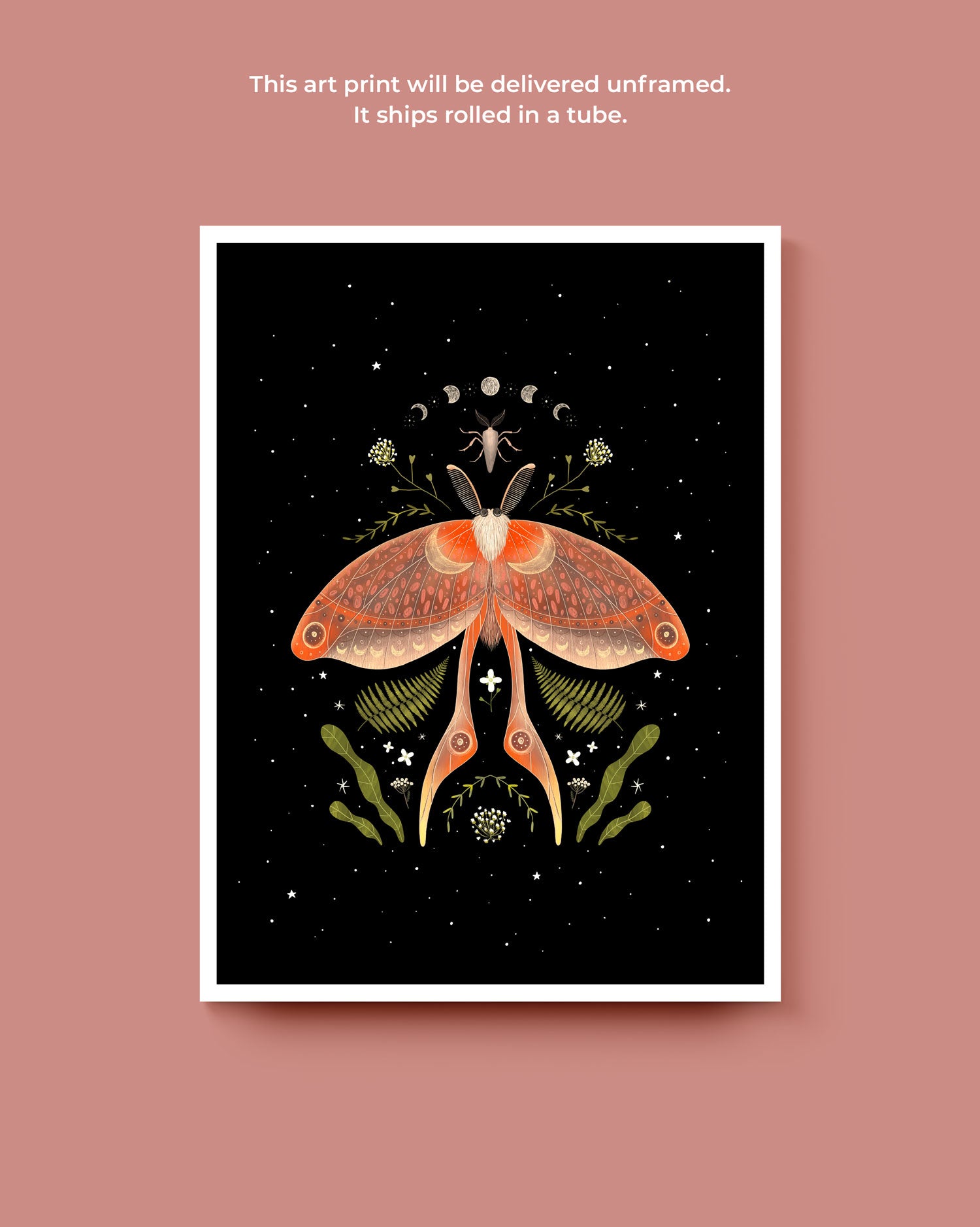 Nocturnal Moth Art Print