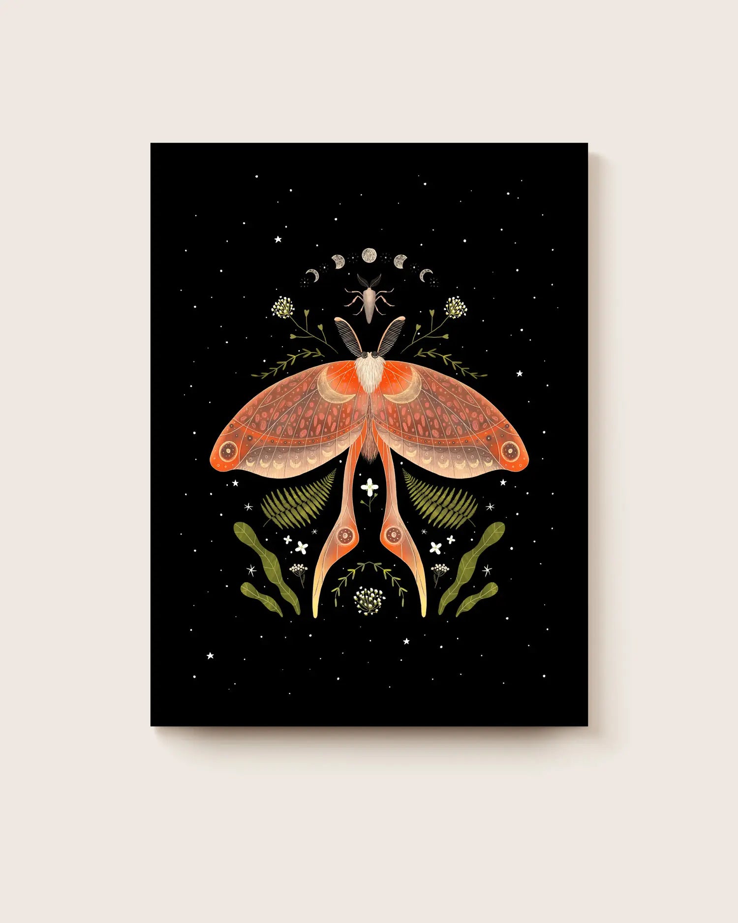Poster of a moth on a black background. * Unframed print