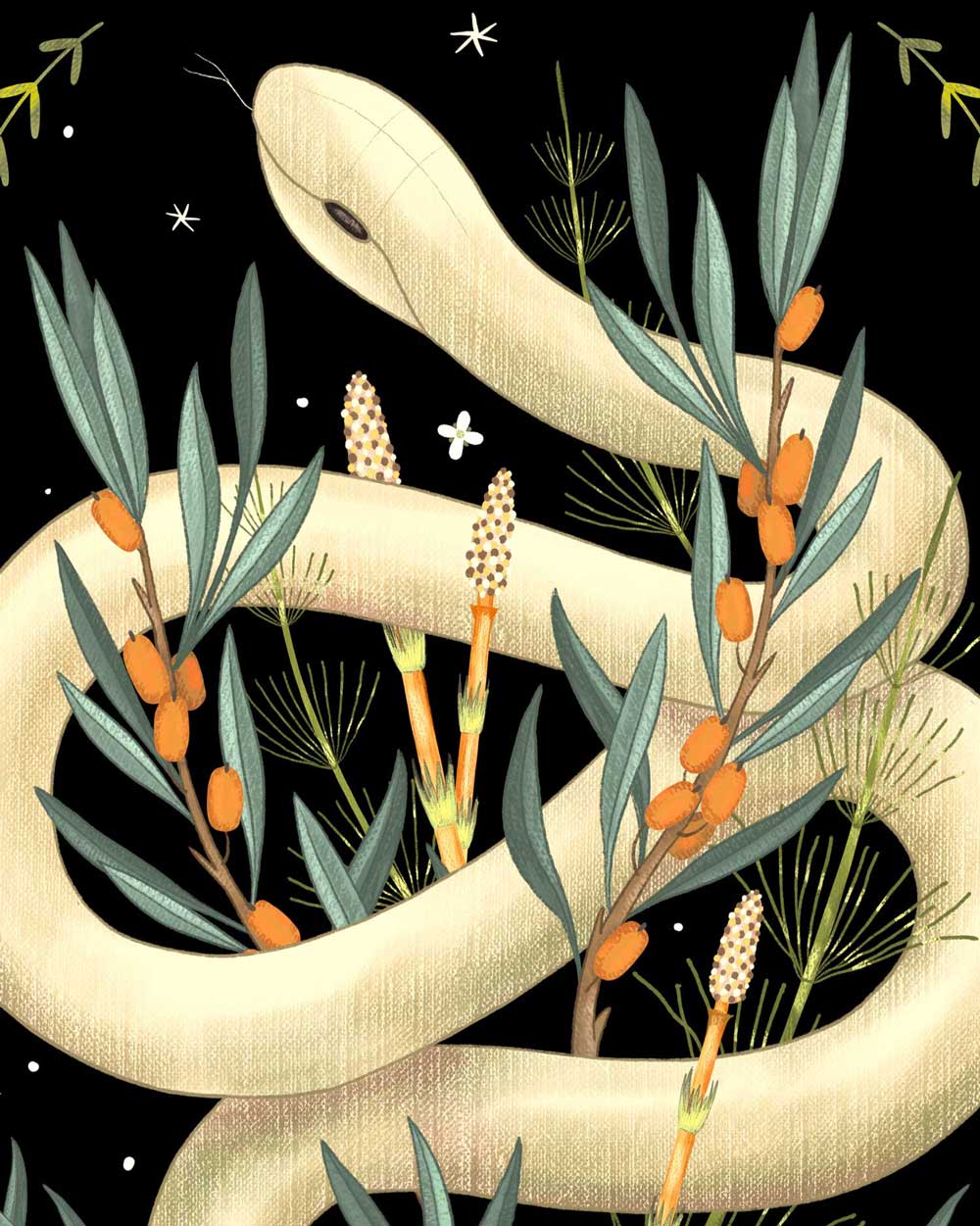 Nocturnal Snake Art Print