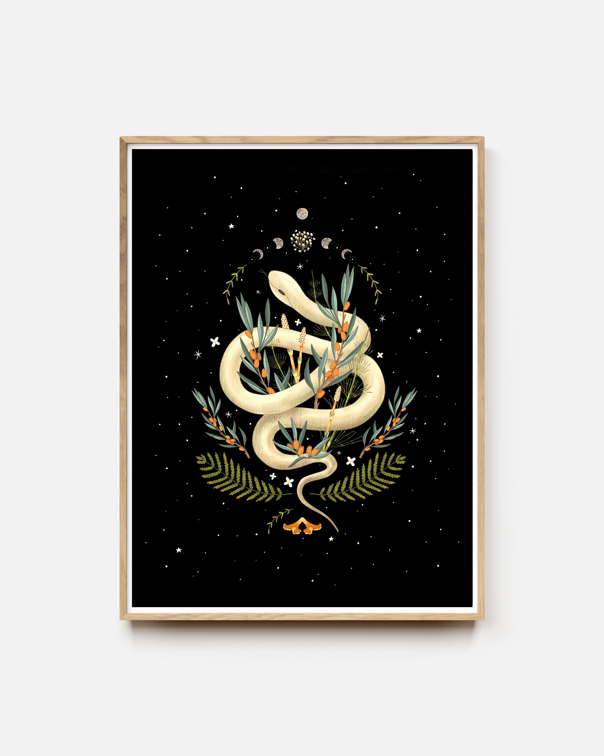 Nocturnal Snake Art Print